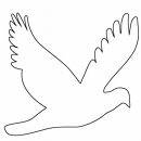 Lucky – Logiciel de Caryotypage